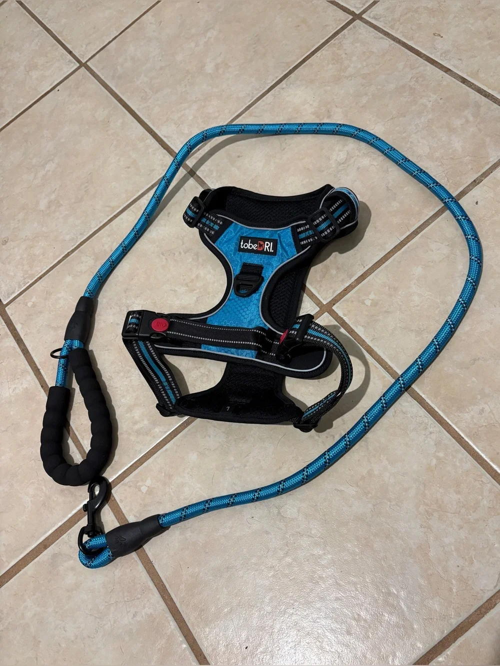 Blue Dog Large Harness and Leash Set